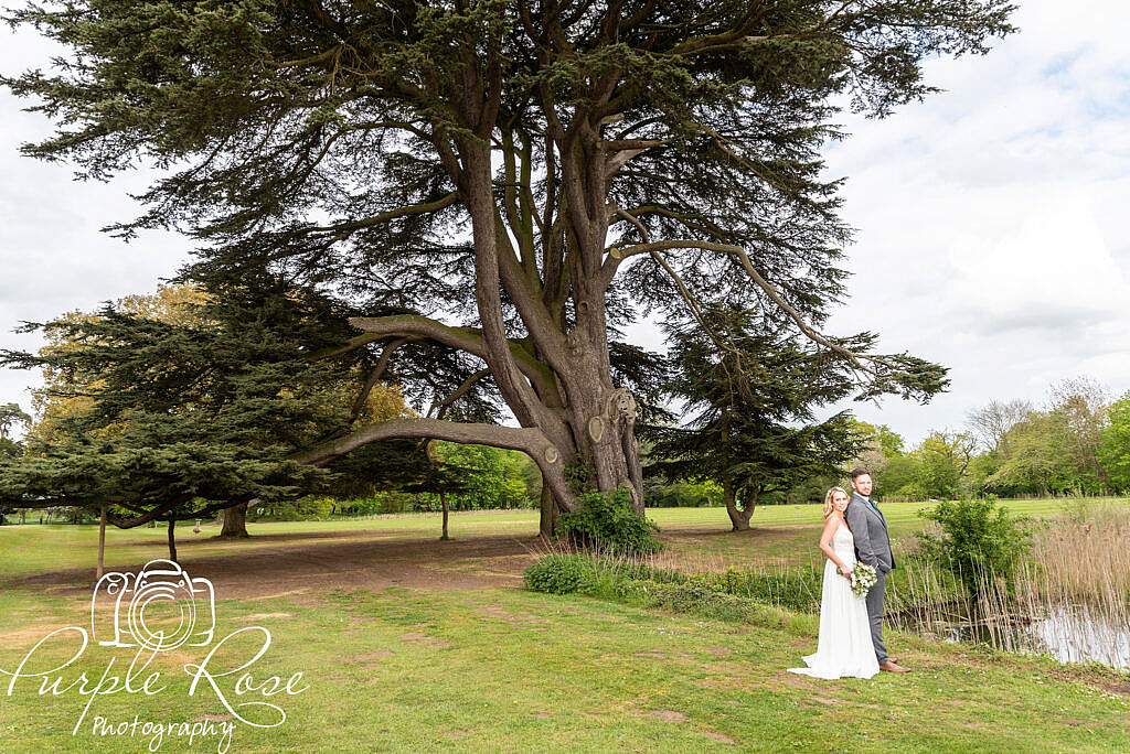 Bride and groom standing by a large tree