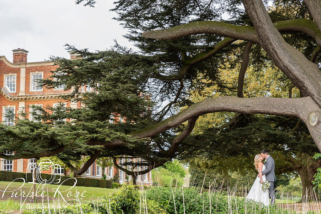 Bride and groom under a tree