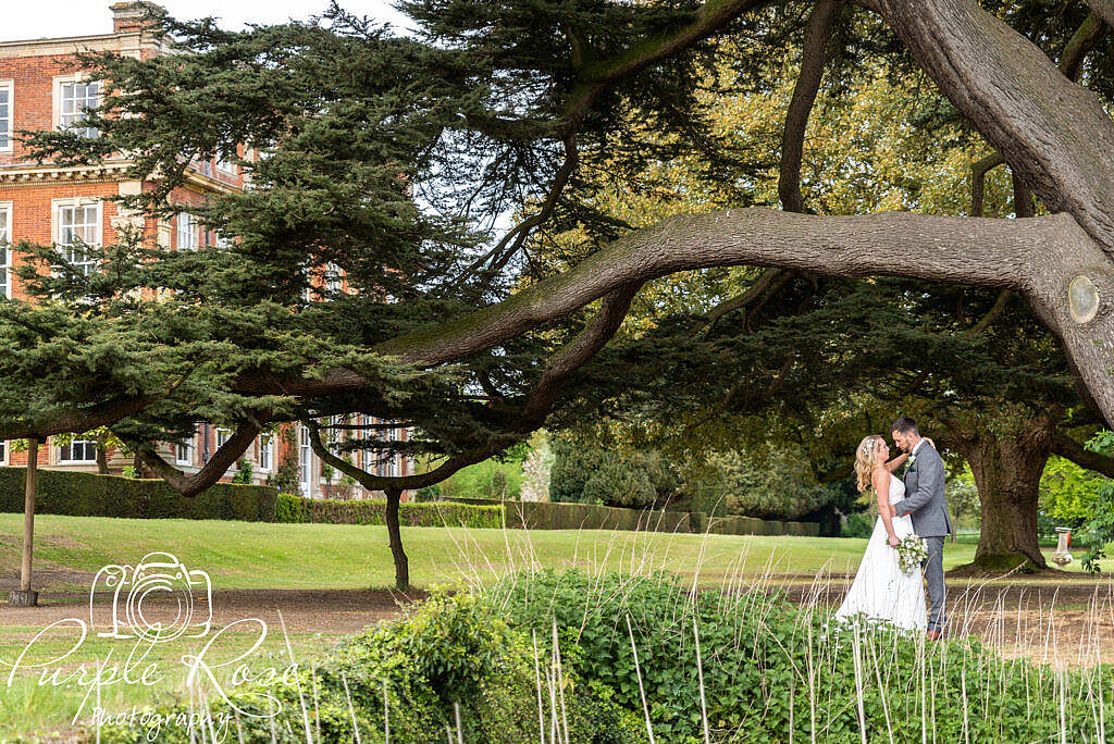 bride and groom under a tree's canopy