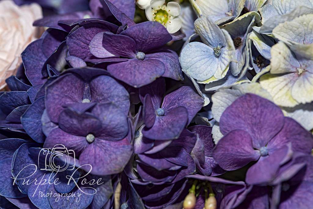 Purple wedding flowers