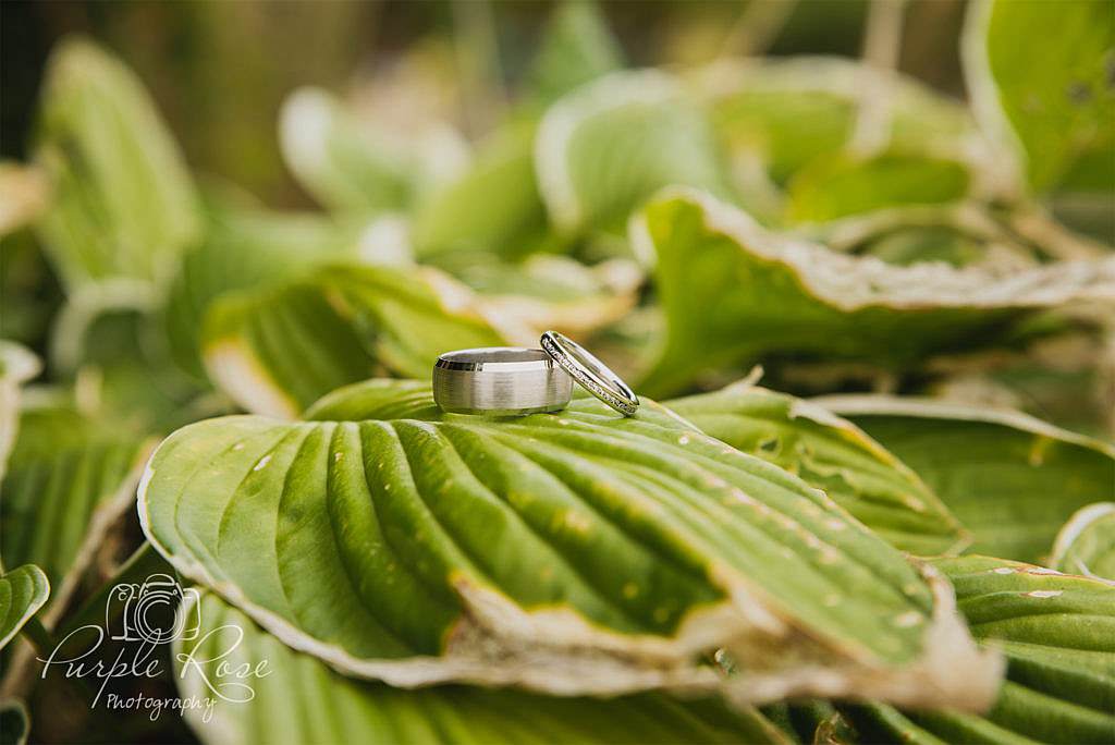 Wedding rings on a leaf