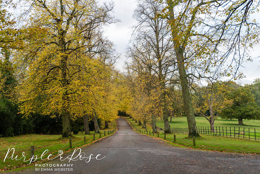 Autumn trees leading to Kelmarsh Hall Northampton