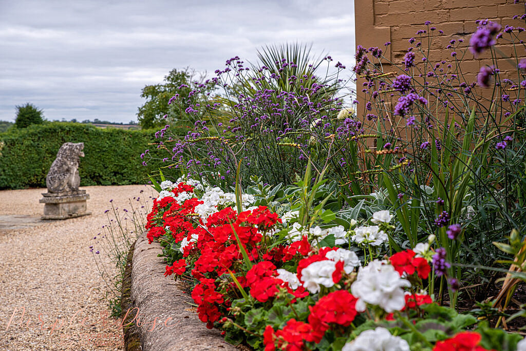 Pretty garden flowers at a wedding venue