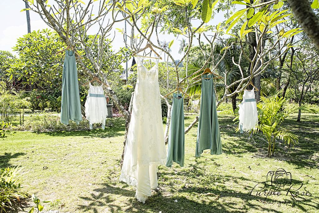 Wedding dress and bridesmaid dresses hanging in a tree