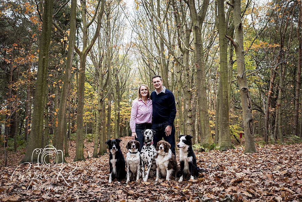 Pre wedding shoot in a forest with their dogs