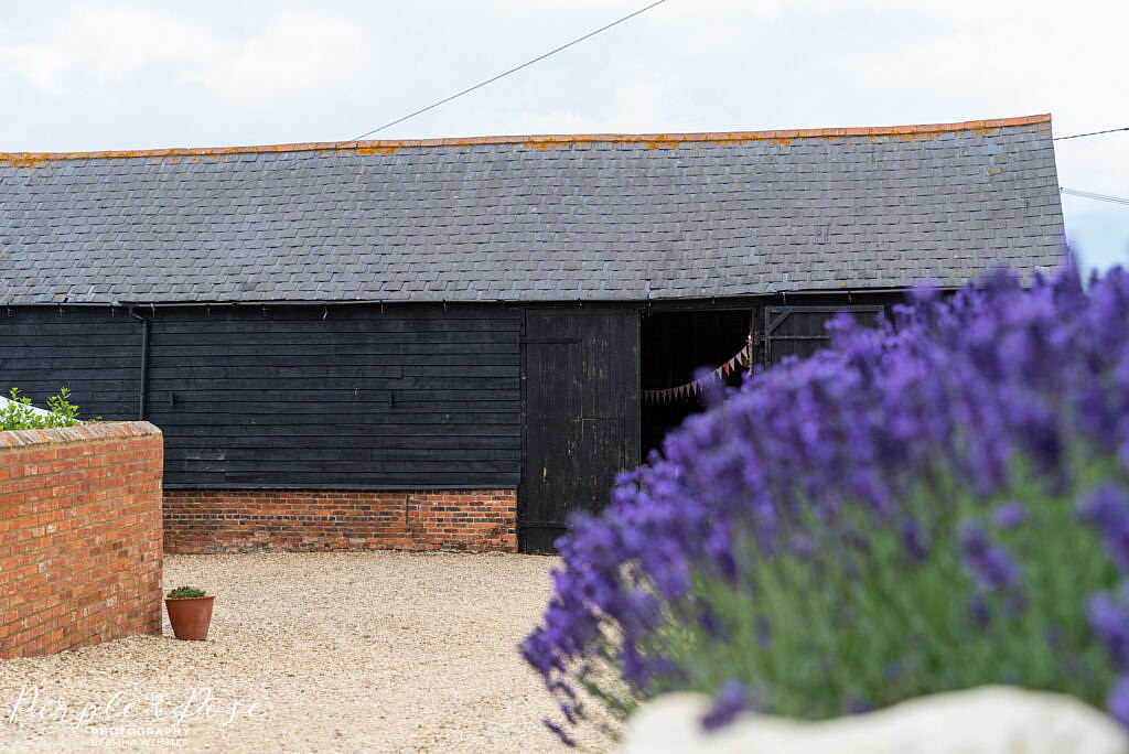 Barn framed by lavender