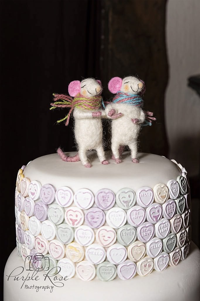 Mouse wedding cake camera