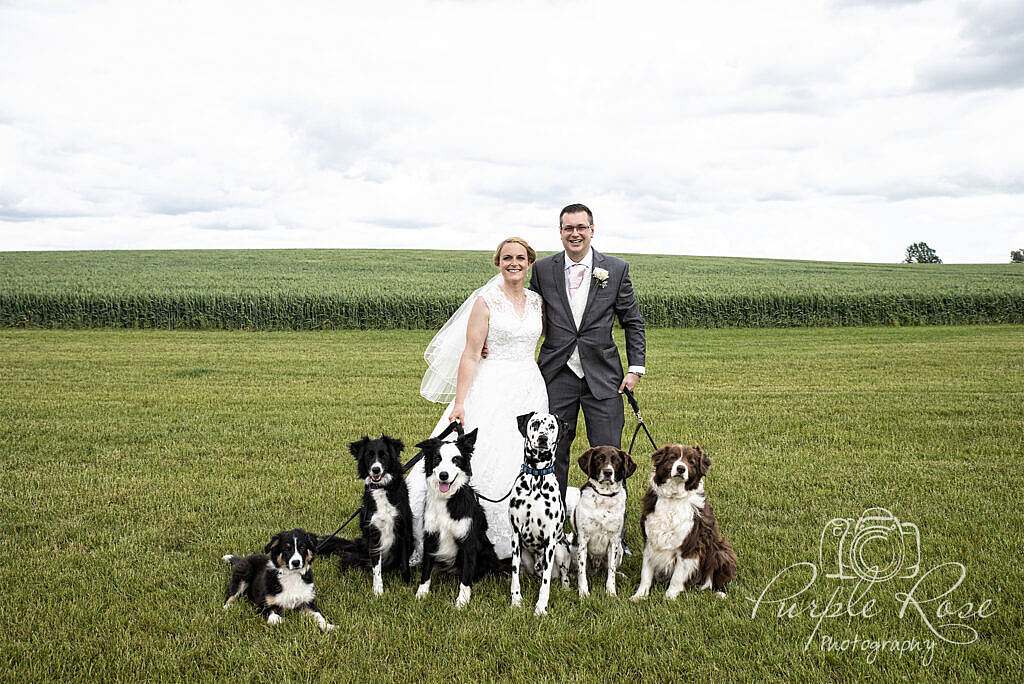 Bride and groom with their 6 dogs at their wedding