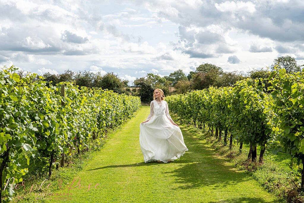 Bride standing in vineyard