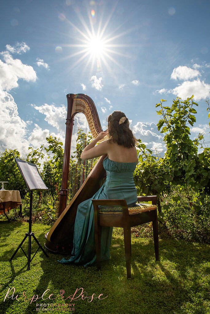 Woman playing a harp