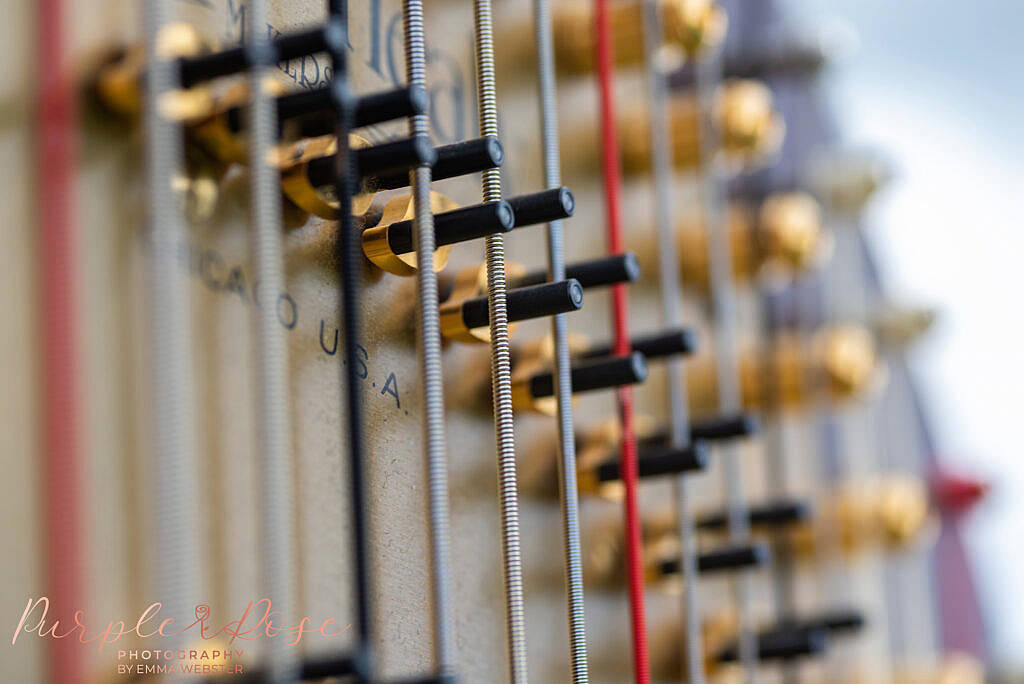 details of a harps strings