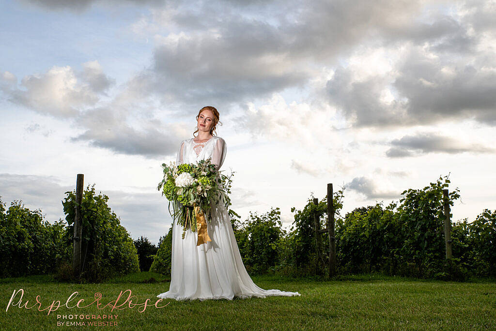 Bride in front of vineyard
