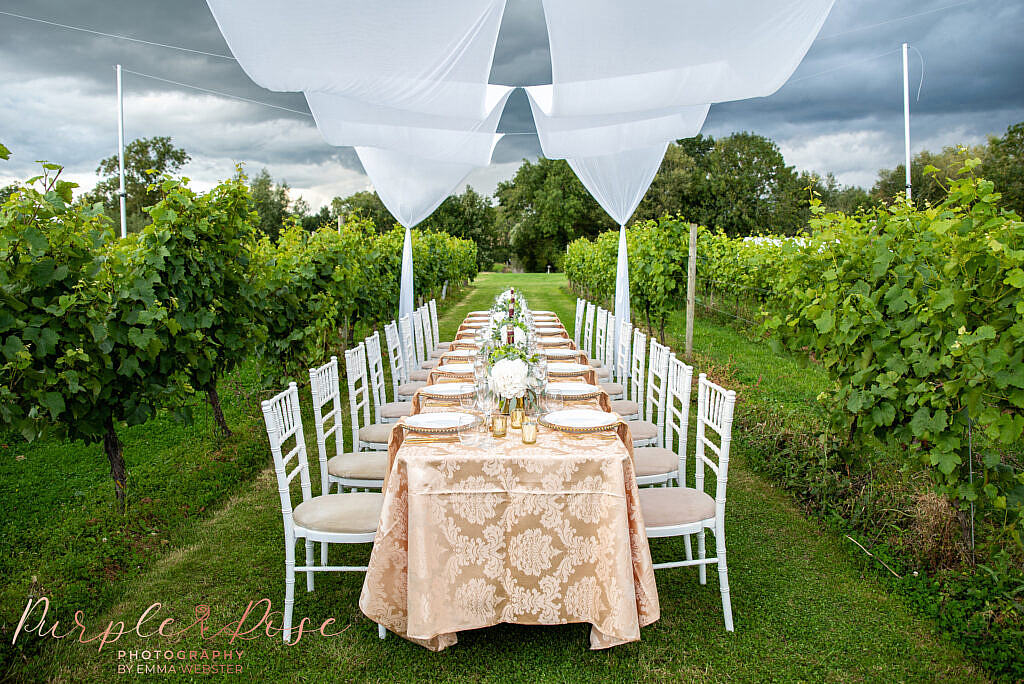 Wedding meal set up