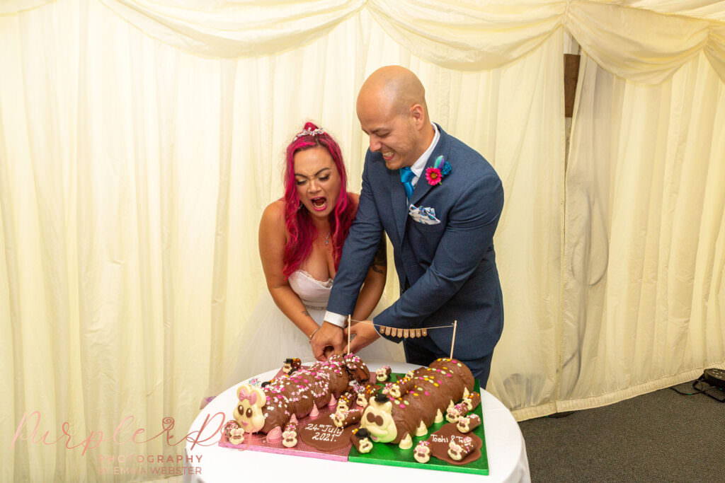 Bride and groom cutting their wedding cake